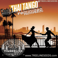 Image 1 of Timberline Select ~ Cindy's Thai Tango