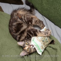 Image 2 of Catnip Baggie Toy (With or Without Crinkle)