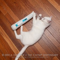 Magic Wand Catnip Kicker Toy