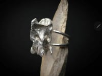 Image 1 of Vertebrae Ring 