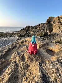 Image 11 of Red thing under a blue thing