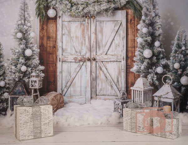 Image of Christmas Minis 2024- Christmas Door background Sat 23rd November