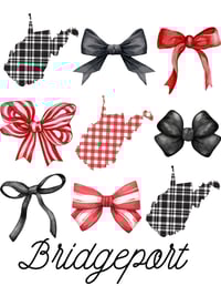 Image 1 of Bridgeport Coquette