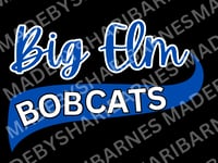 Image 1 of Bobcats Vintage