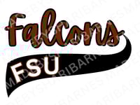 Image 2 of Falcons Vintage