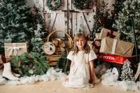 Image 5 of Christmas Mini Session £125