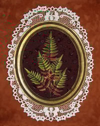 Fern