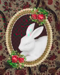 White Rabbit