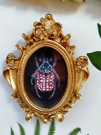 Image 1 of Mini Original Flower Chafer with Vintage Frame