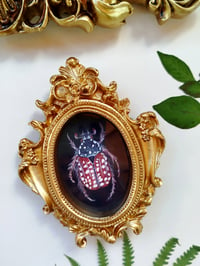 Image 2 of Mini Original Flower Chafer with Vintage Frame