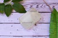Image 1 of Pure Aloe - Cleansing Facial Bar