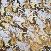 Image 2 of Cricket Sticker