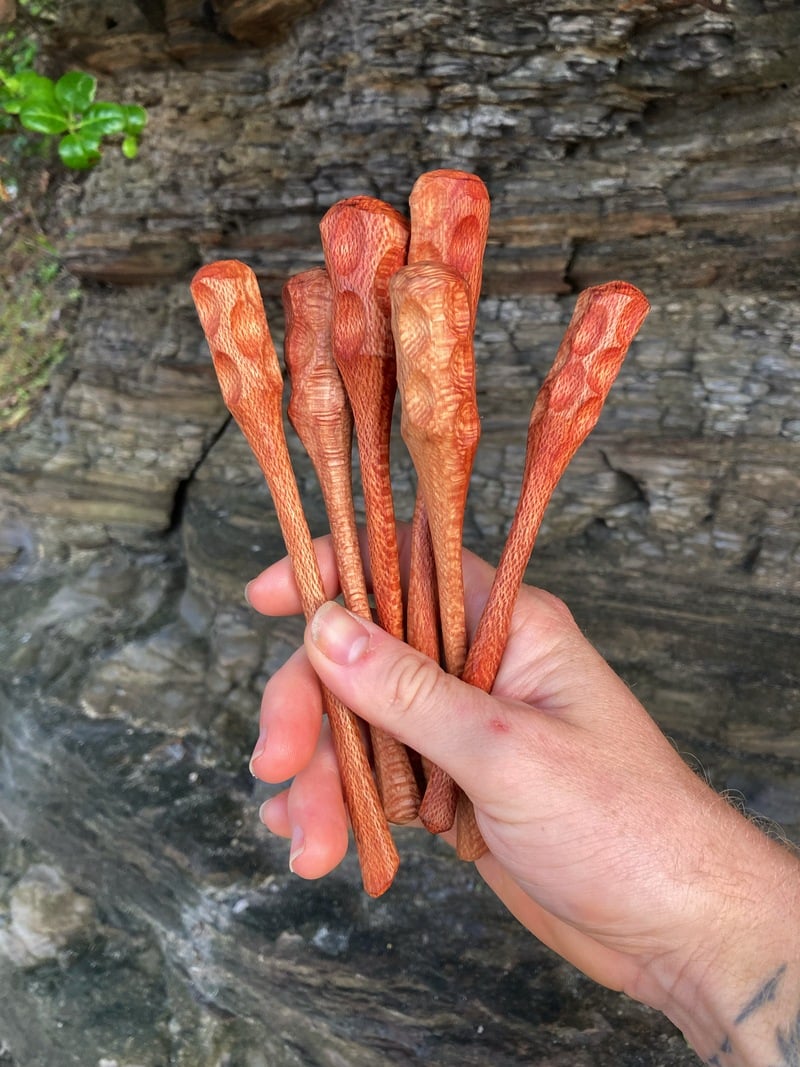 Image of Banksia Honey Dipper