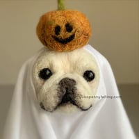 Image 5 of Frenchie Ghost 2024 : Cream with Pumpkin