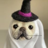 Image 4 of Frenchie Ghost 2024 : Cream with Witch/Wizard Hat