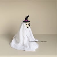 Image 1 of Frenchie Ghost 2024 : Cream with Witch/Wizard Hat