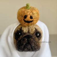 Image 2 of Frenchie Ghost 2024 : Fawn with Pumpkin