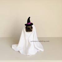 Image 1 of Frenchie Ghost 2024 : Fawn with Witch/Wizard Hat