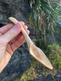 Image 1 of Blackwood Acacia Teaspoon