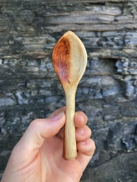 Image 1 of Blackwood Acacia Teaspoon 3