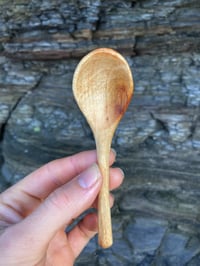 Image 1 of Blackwood Acacia Teaspoon 4