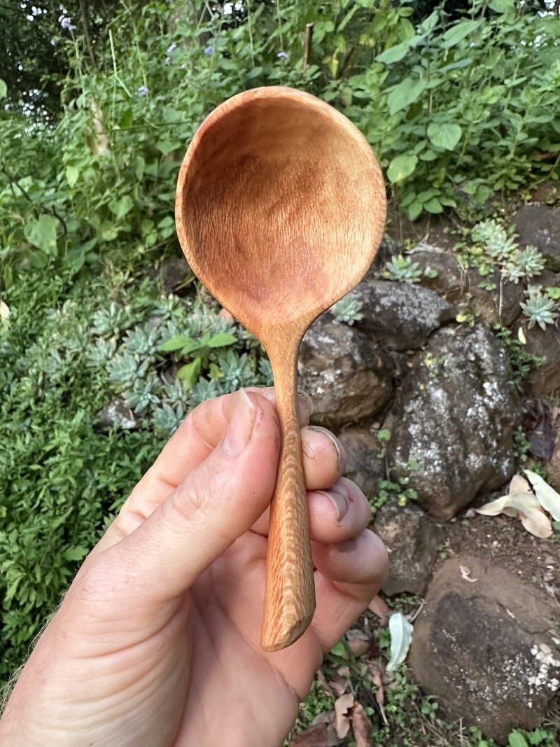 Image of Banksia Coffee Scoop TBSP