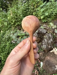 Image 2 of Banksia Coffee Scoop TBSP