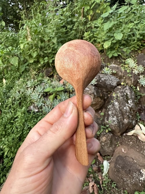 Image of Banksia Coffee Scoop TBSP