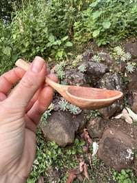 Image 3 of Banksia Coffee Scoop TBSP