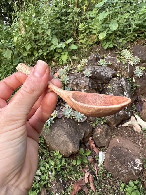 Image of Banksia Coffee Scoop TBSP