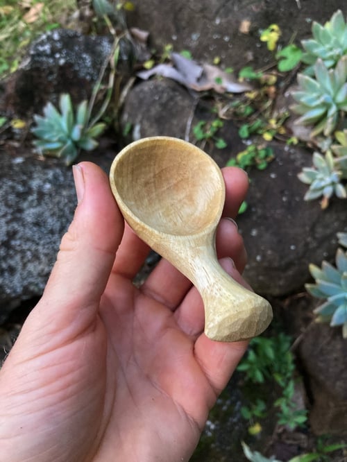 Image of Mango Wood Coffee Scoop