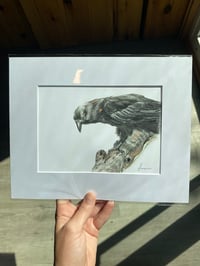 Hawaiian Crow Print 