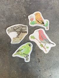 Native Stickers