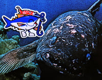 Image 2 of Tuna Sticker