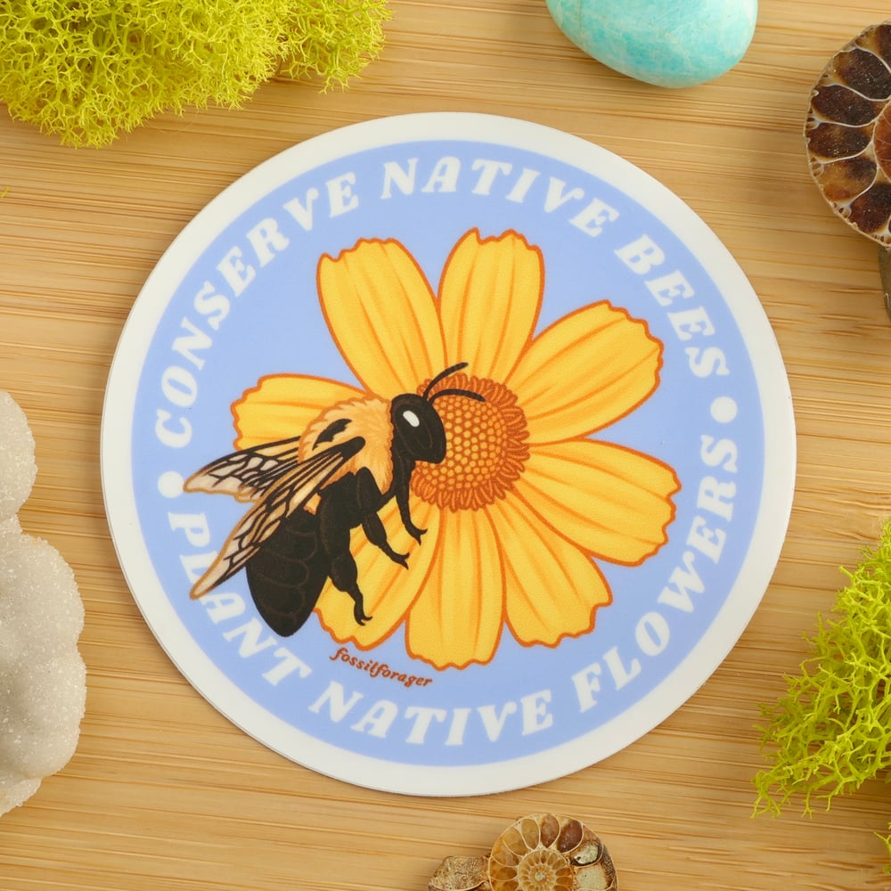 Conserve Native Bees Sticker