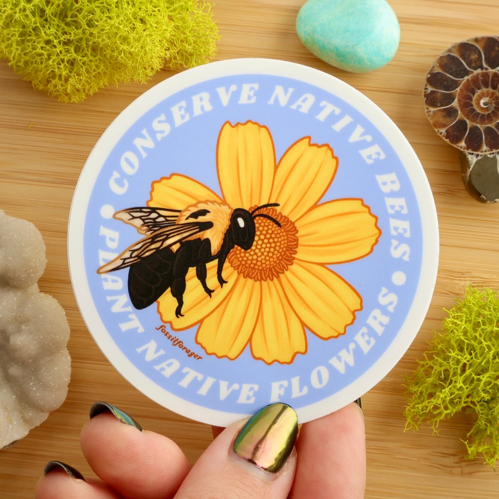 Conserve Native Bees Sticker