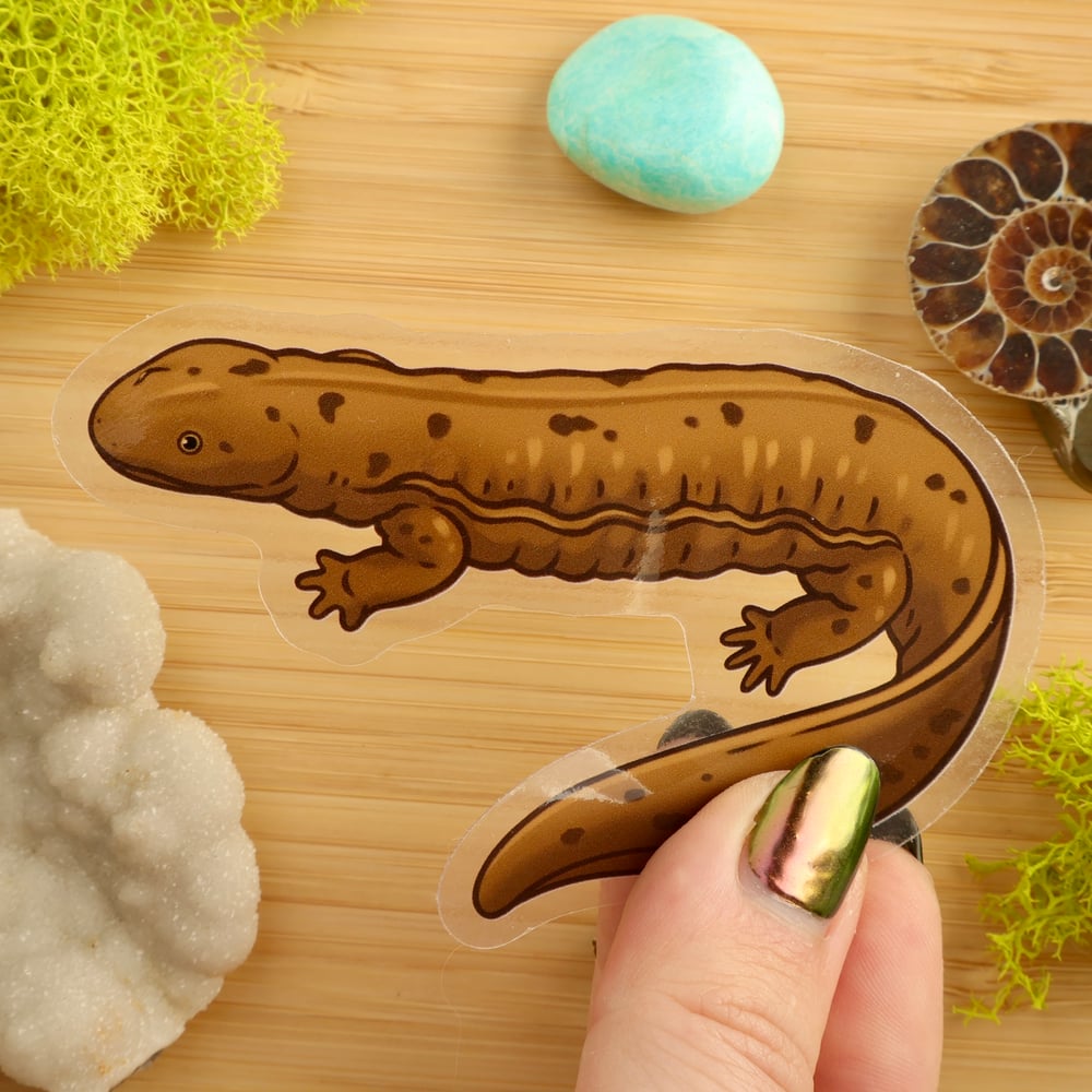 Clear Hellbender Sticker