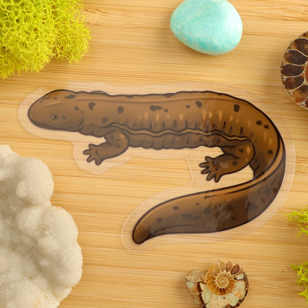 Clear Hellbender Sticker