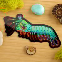 Image 1 of Peacock Mantis Shrimp Sticker *Holographic!*