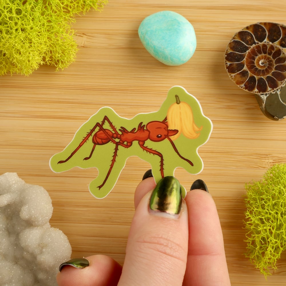 Leafcutter Ant Sticker