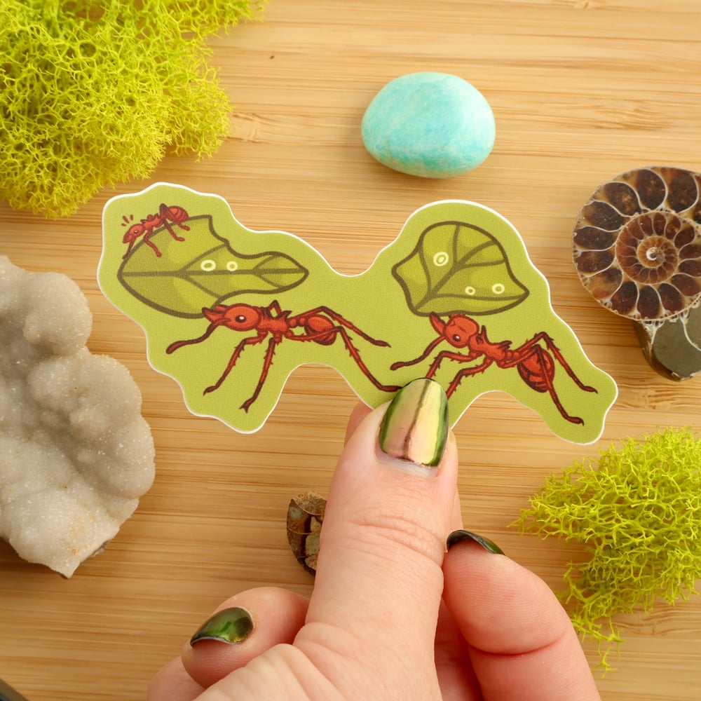 Leafcutter Ants Sticker