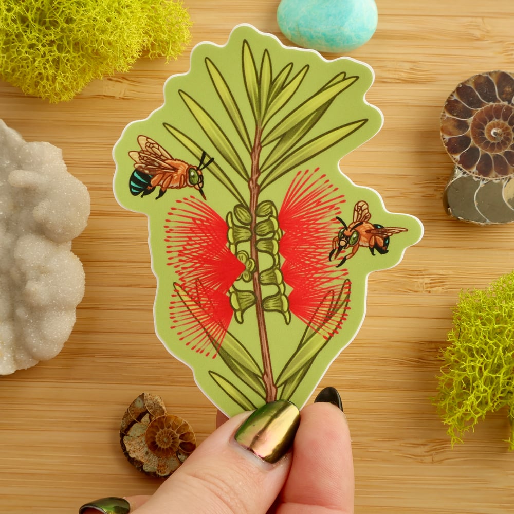 Bottlebrush & Bees Sticker