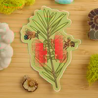 Image 1 of Bottlebrush & Bees Sticker