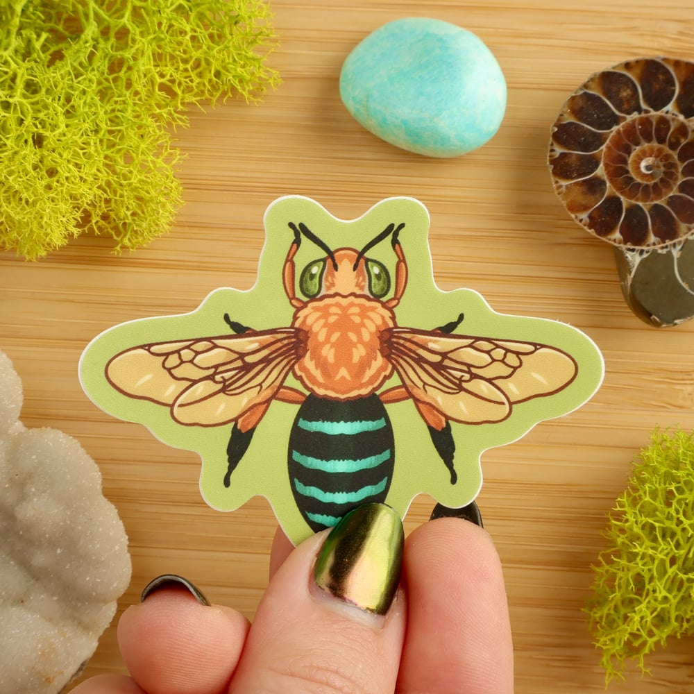 Blue-banded Bee Sticker