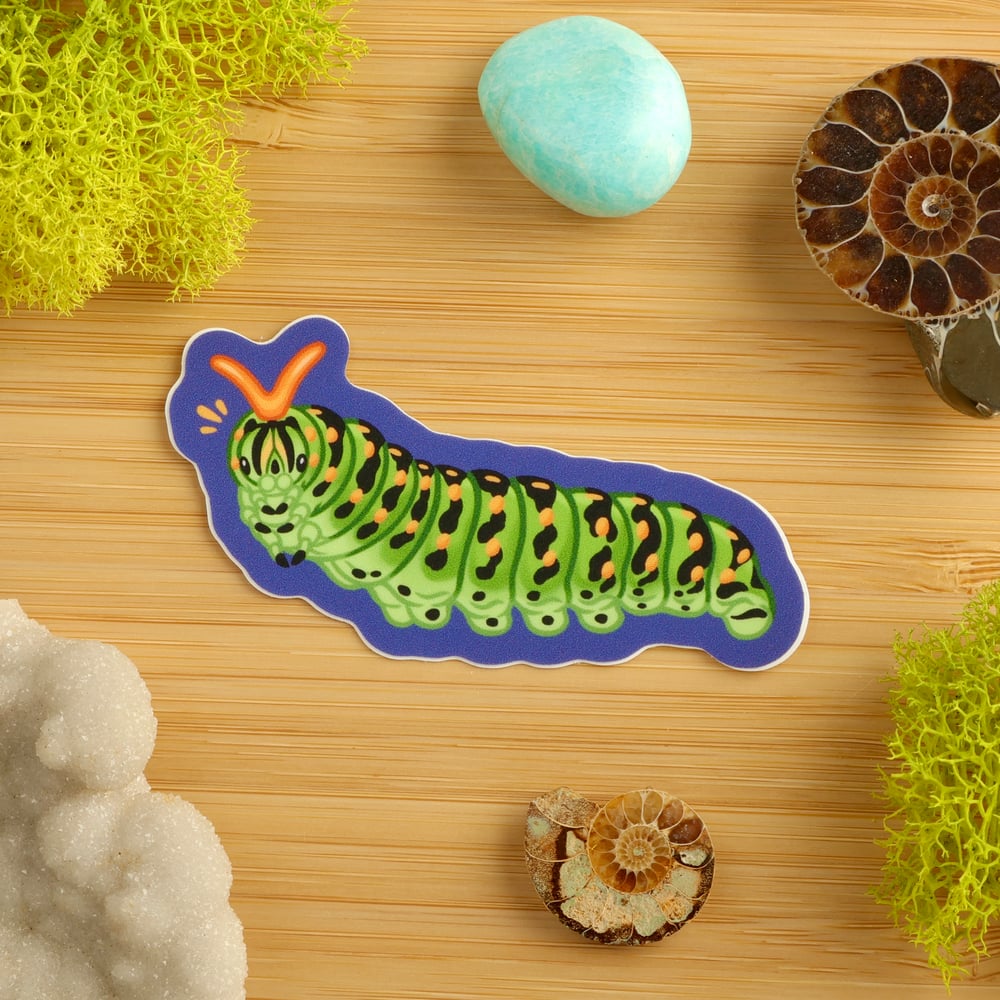 Black Swallowtail Caterpillar Sticker