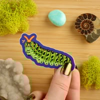 Image 2 of Black Swallowtail Caterpillar Sticker