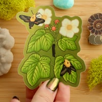 Image 2 of Thimbleberry & Sphinx Moth Sticker