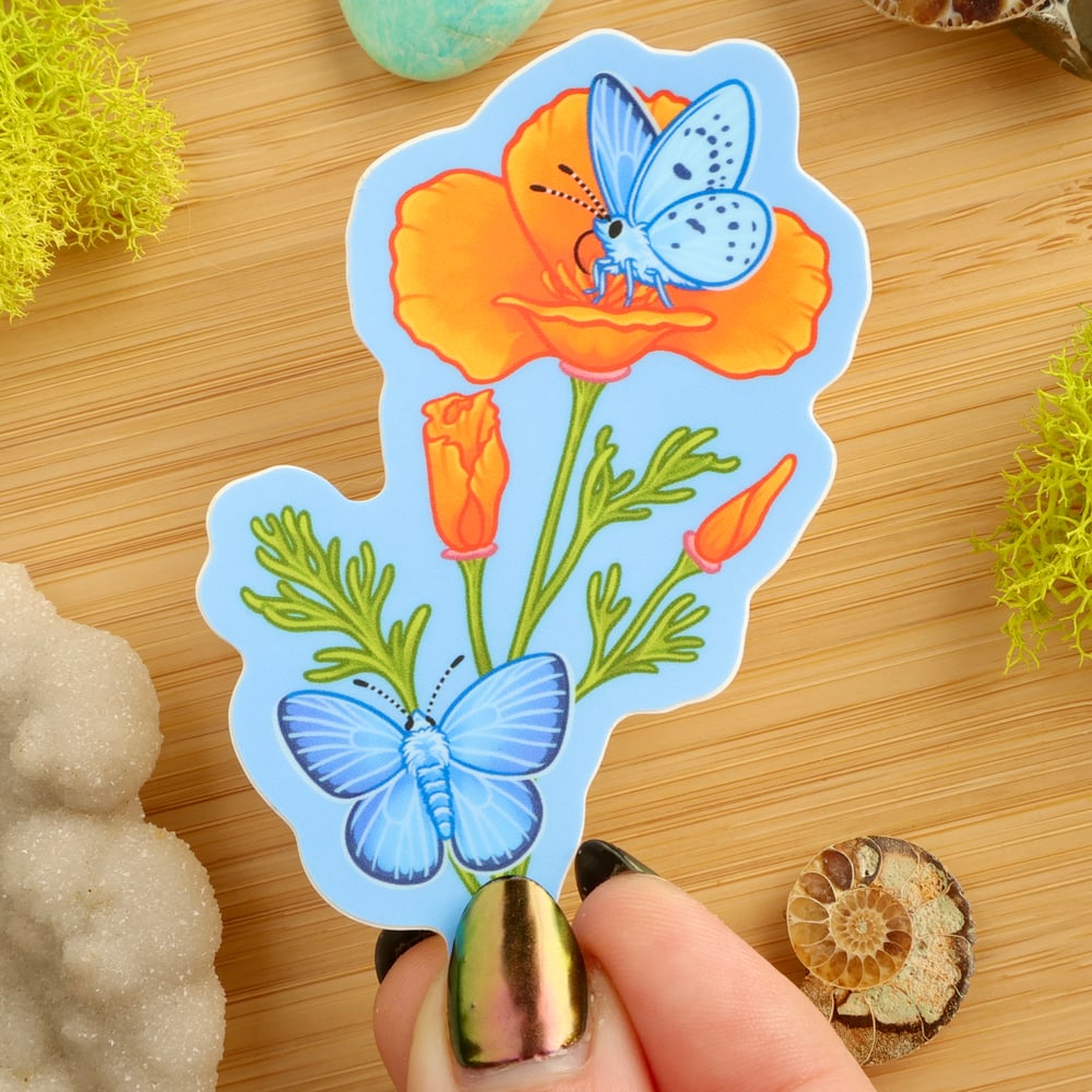 Blue Butterfly & Poppy Sticker 