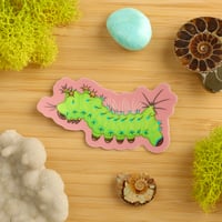 Image 1 of Pink Spirit Moth Caterpillar Sticker