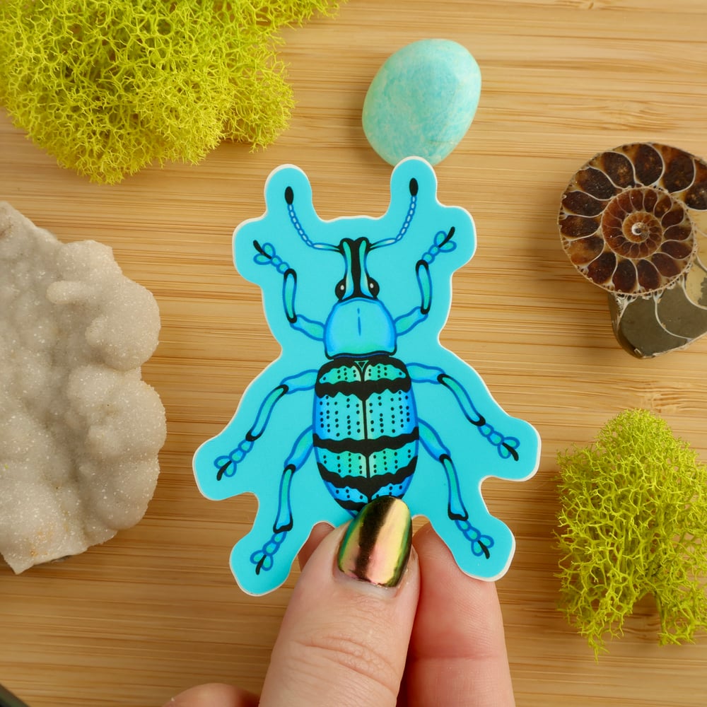 Blue Weevil Sticker (Top-Down)